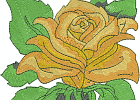 rose 01 - 5x7 jc